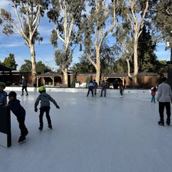 Winter Lodge