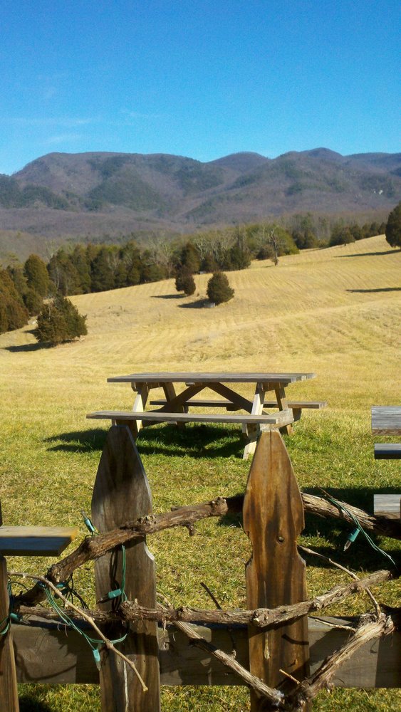 BLUE RIDGE VINEYARD - 22 Photos & 21 Reviews - Wineries - 1027 Shiloh