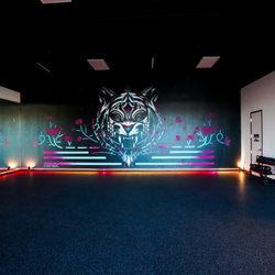 Black Swan Yoga - Round Rock - Inside BSY Round Rock
