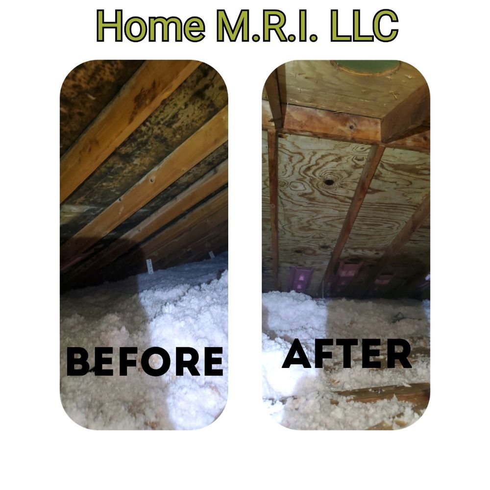 Home MRI - mold inspector in Ashland, OH