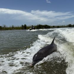 Avi's Water Sports