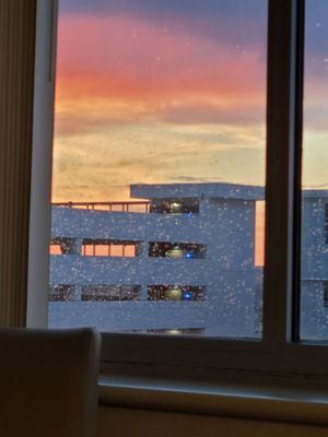 Methodist Hospital by null