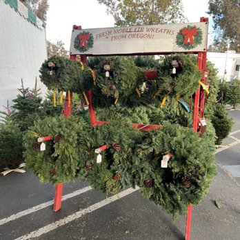 Pinery Christmas Trees - Christmas Trees Near Me - San Diego, California Pinery Christmas Trees - Christmas Trees Near Me - San Diego, California