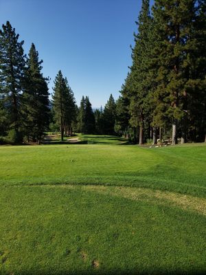INCLINE VILLAGE MOUNTAIN GOLF COURSE Updated July 2025 57 Photos