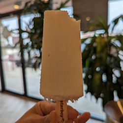 Waterboy - Coconut Paleta