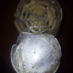 Highland's Tru Buy - Mold on Pepperoncinis lid