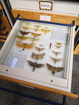 World Museum by null