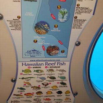 Atlantis Submarines - Tours Near Me - Lahaina, Hawaii Atlantis Submarines - Tours Near Me - Lahaina, Hawaii