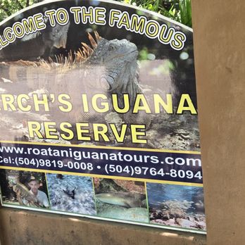 Shore Excursions Group - Travel Services Near Me - Sunrise, Florida