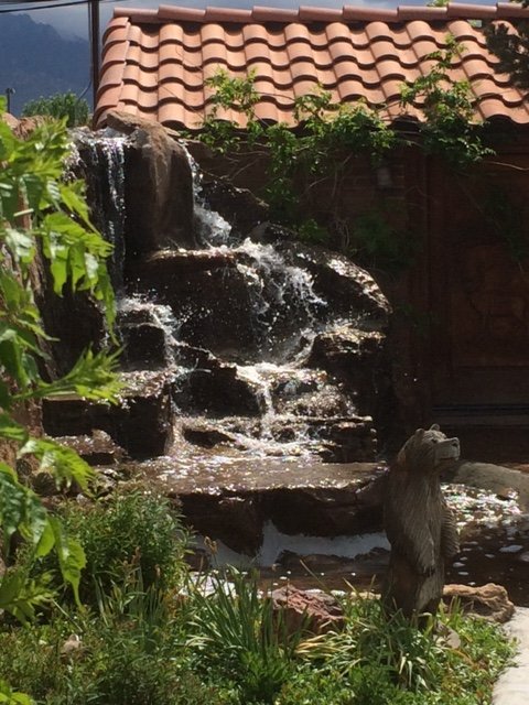 Pete's Landscaping & Materials - tree service in Albuquerque, NM