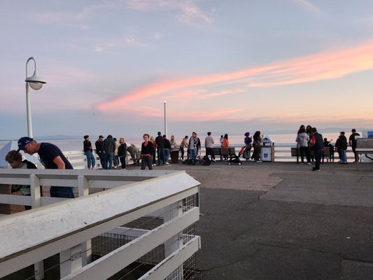 Santa Cruz Wharf by null