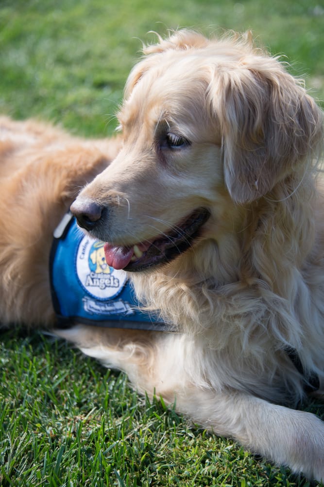 SAGE THERAPY Updated September 2024 10 Reviews 1690 Woodside Rd