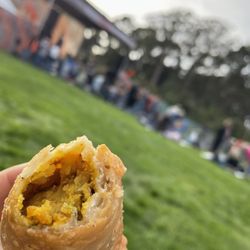 Hardly Strictly Bluegrass Festival - 2023 Hardly Strictly Bluegrass Festival and my samosa