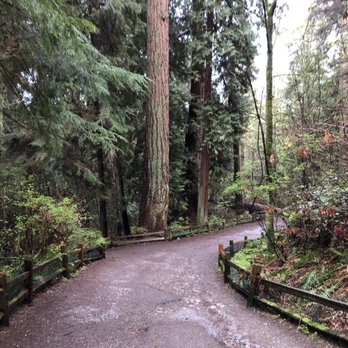 Lighthouse Park - Nice, wide path - Parks Near Me Lighthouse Park - Nice, wide path - Parks Near Me