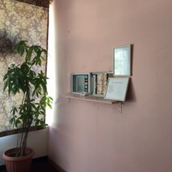 Jasmin Massage Therapy