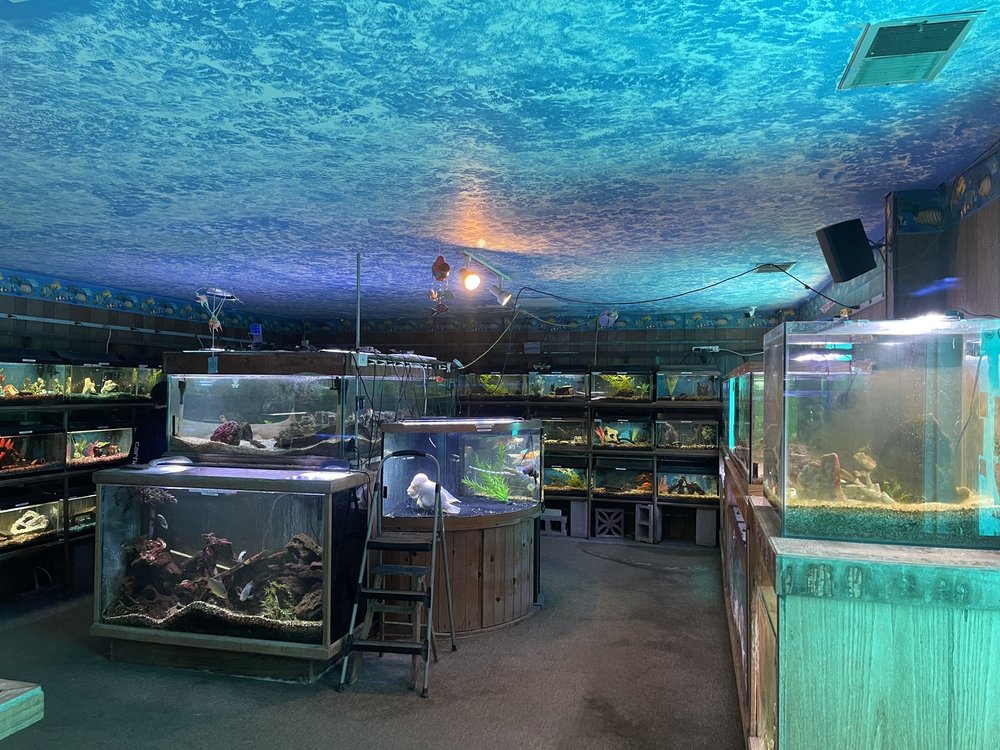 THE AQUARIUM SHOP 30 Photos 1001 Hwy 2 E, Kalispell, MT Yelp