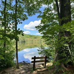 Pond Loop - Pond view bench
