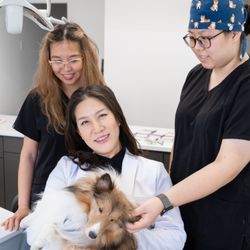 Prime Orthodontics - Having fun with Toto!
