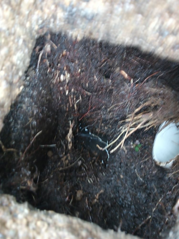 Slide of KEVCO Drain Solutions