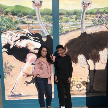 Ostrichland USA - We had a blast - Attraction Farms Near Me - Solvang, California Ostrichland USA - We had a blast - Attraction Farms Near Me - Solvang, California