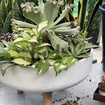 Abide A While Garden Boutique - Nurseries & Gardening Near Me - Mount Pleasant, South Carolina