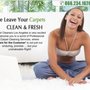 Photo of LA Carpet Cleaners