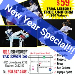 USA Champion Taekwondo