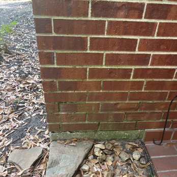 Pro Pressure Washing - Low moss - Pressure Washers Near Me Pro Pressure Washing - Low moss - Pressure Washers Near Me