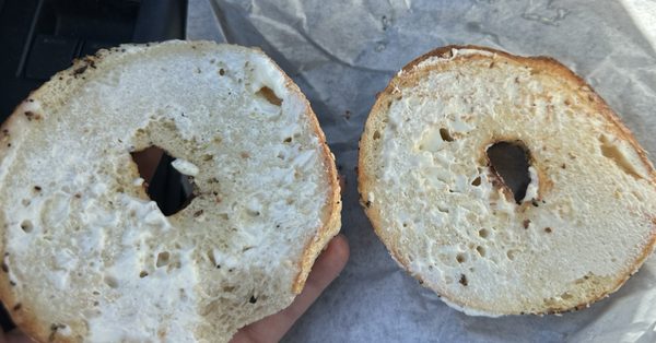 Homegrown Bagels by null