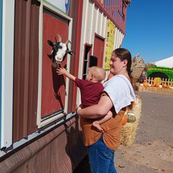 Galloping Goat Pumpkin Patch