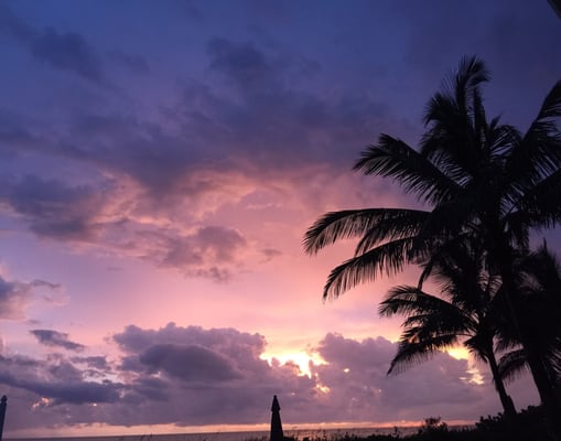 Longboat Key by null