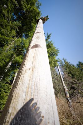 Totem Bight State Historical Park by null