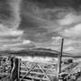 Photo of Dodd Camera