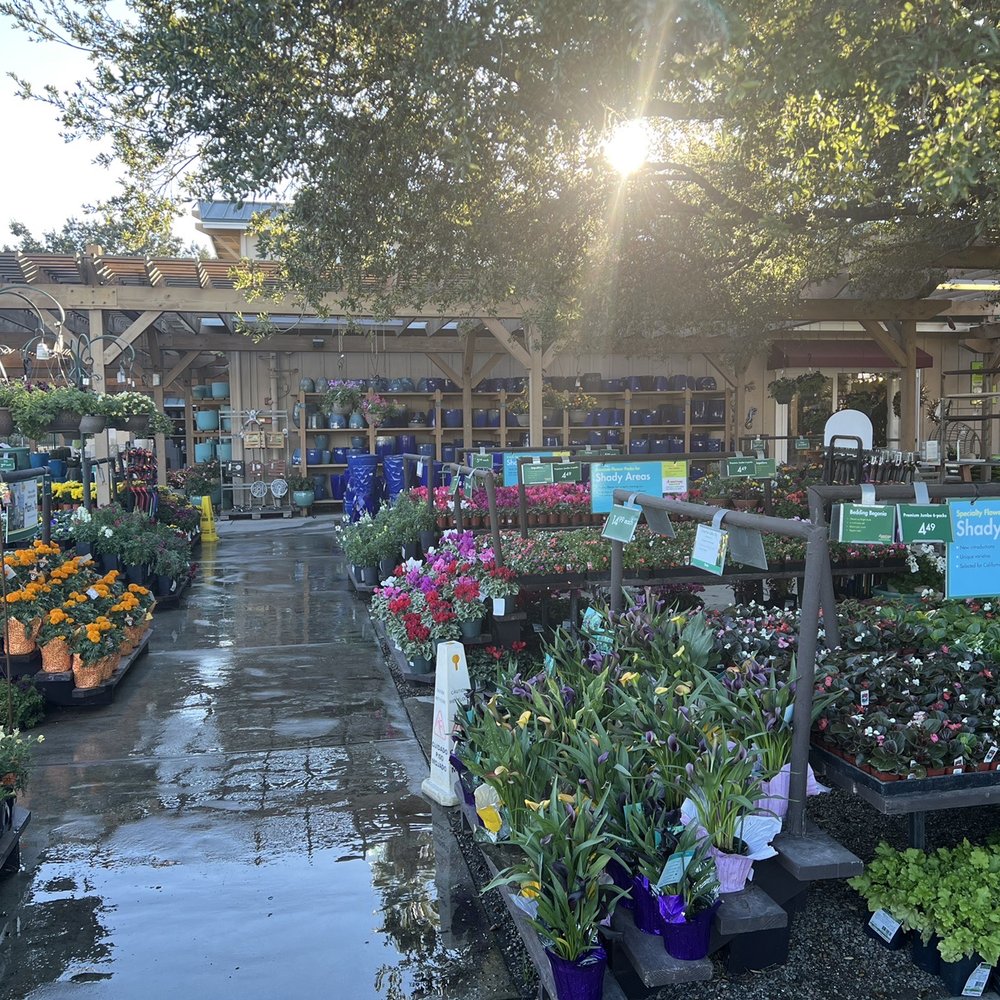 Armstrong Garden Centers - Outdoor is always organized and fresh. - Nurseries & Gardening Near Me - Thousand Oaks, California Armstrong Garden Centers - Outdoor is always organized and fresh. - Nurseries & Gardening Near Me - Thousand Oaks, California