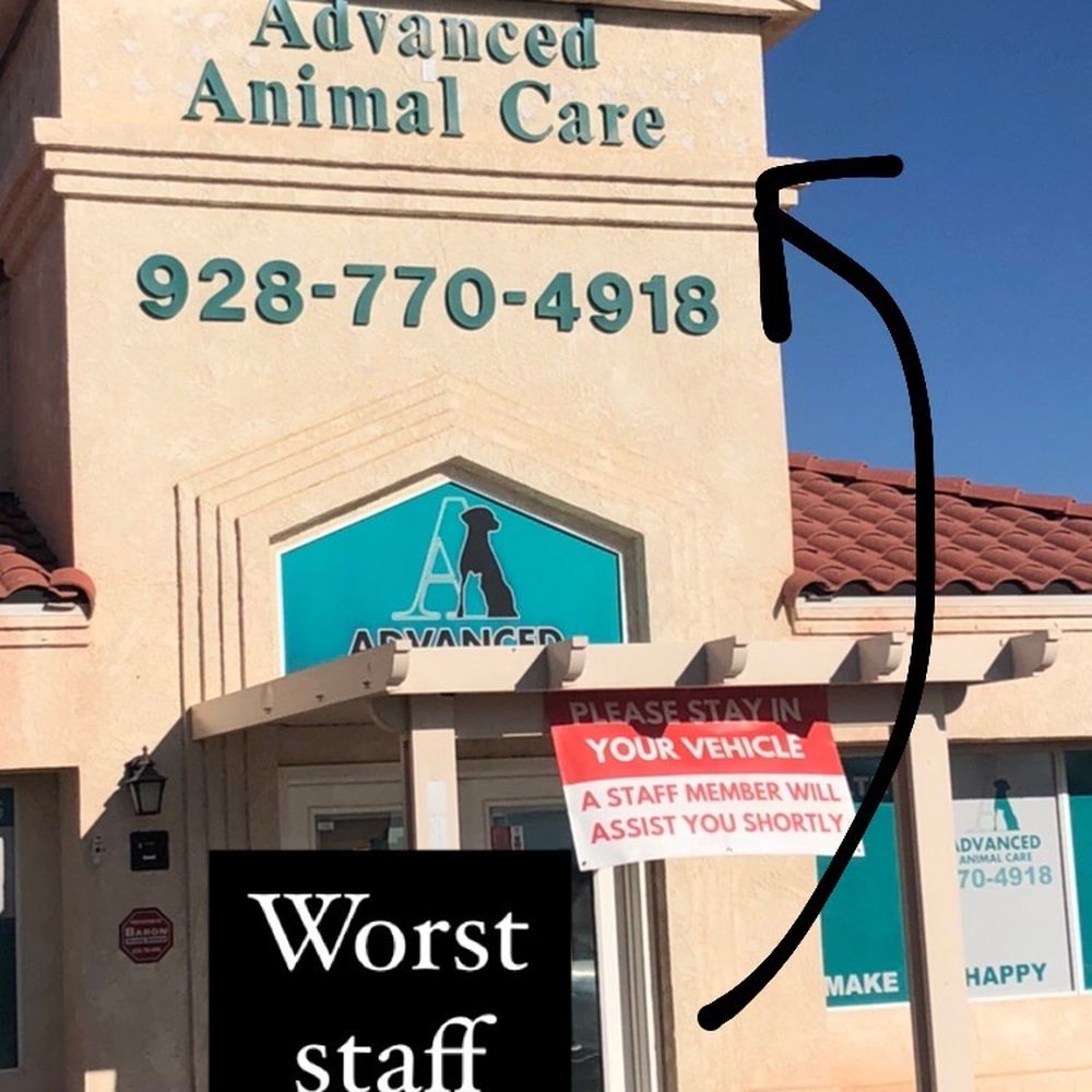 Advanced Animal Care - Awful place - Veterinarians Near Me - Fort Mohave, Arizona Advanced Animal Care - Awful place - Veterinarians Near Me - Fort Mohave, Arizona