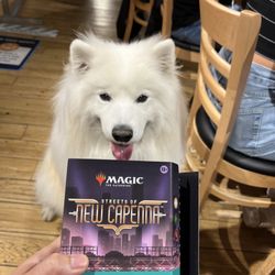 Legends Comics & Games - Samson at prerelease event for MTG New Capenna!