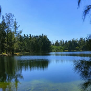 Silver Lakes Rotary Nature Park - Parks Near Me - Davie, Florida Silver Lakes Rotary Nature Park - Parks Near Me - Davie, Florida