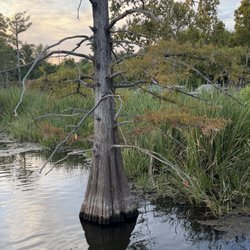 C Bickham Dickson Park