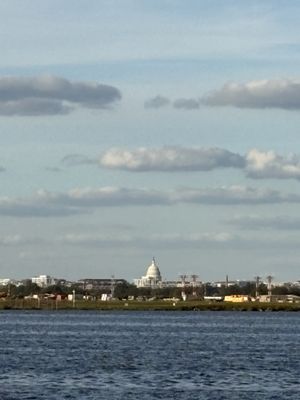 Catboat Pizza Bar by null