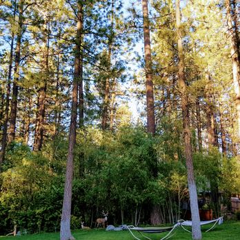 Alpenhorn Bed & Breakfast - Beautiful large backyard - Big Bear Lake, CA