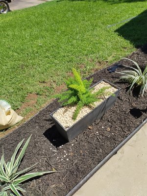 Vegas Landscape Trees Plants Irrigation Systems