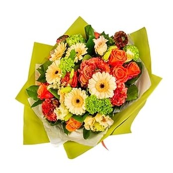 Amarilis Flowers - same day flower delivery Mississauga - Florists Near Me - Mississauga, Ontario Amarilis Flowers - same day flower delivery Mississauga - Florists Near Me - Mississauga, Ontario