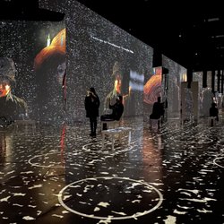 Immersive Van Gogh Exhibit
