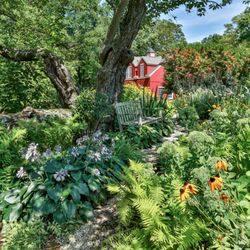 Green Jay Landscape Design - Ferns and clethra for a native shade underplanting.