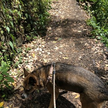 Makiki Valley Trail - Hiking Near Me - Honolulu, Hawaii