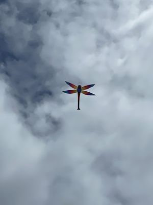World Kite Museum & Hall-Fame by null