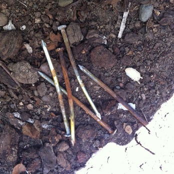 Antique Termite - The result after Antique Termite fumigation! - Pest Control Near Me - Morgan Hill, California Antique Termite - The result after Antique Termite fumigation! - Pest Control Near Me - Morgan Hill, California