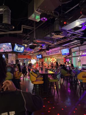 Cat's Meow Las Vegas by null