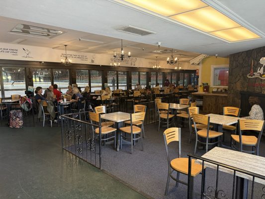 Snoopy's Home Ice by null