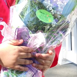 Schultz Florist - Olander Florist